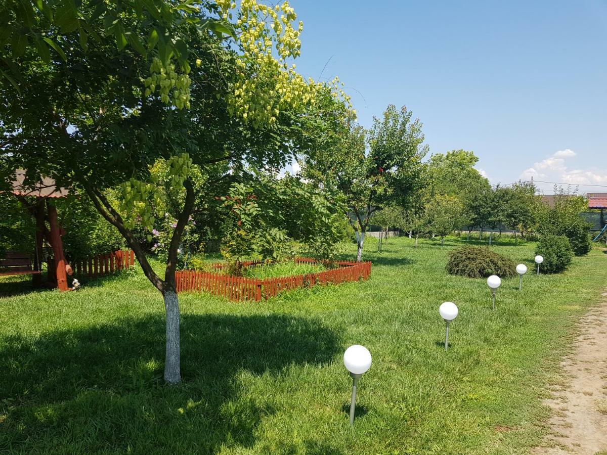 Colt De Rai Ξενοδοχείο Corbu  Εξωτερικό φωτογραφία