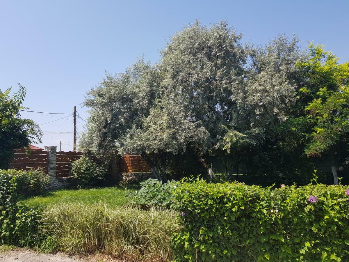 Colt De Rai Ξενοδοχείο Corbu  Εξωτερικό φωτογραφία
